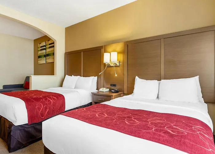Comfort Suites Bush Intercontinental Airport Houston
