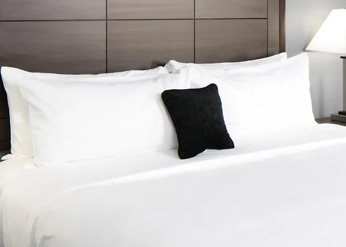 Ramada By Wyndham Houston Intercontinental Airport South Hotel