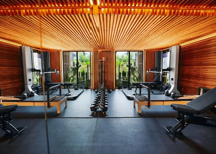 Petit Ermitage (Adults Only) Hotel Los Angeles