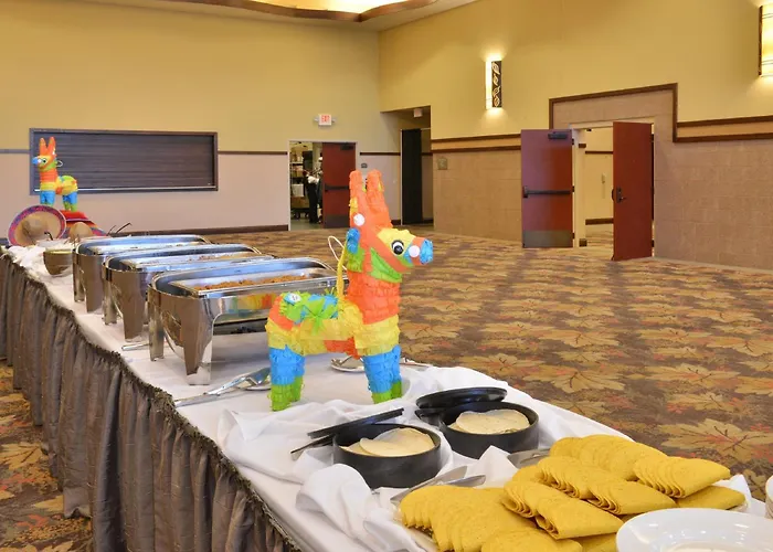 Holiday Inn Stevens Point - Convention Center By Ihg