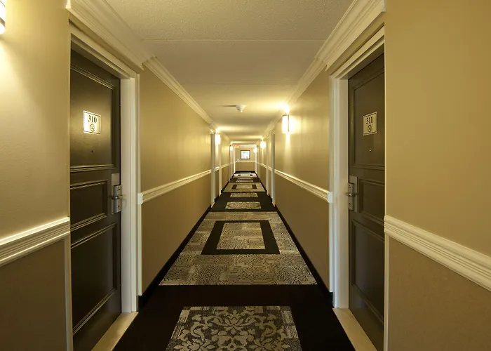 Visitor'S Inn Hamilton