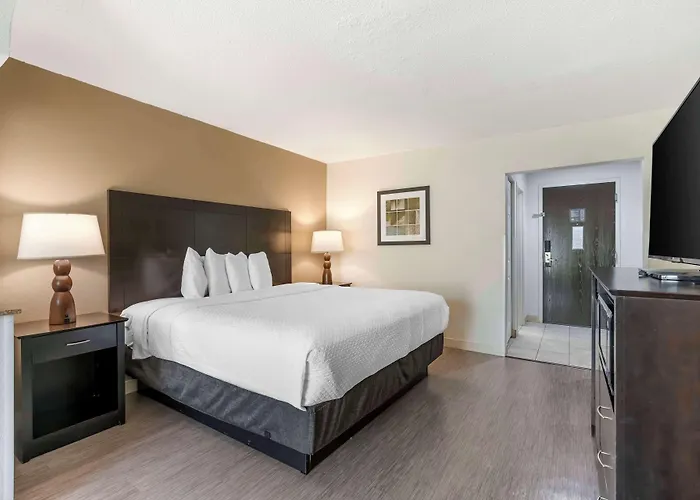 Best Western Suites Columbus New Rome